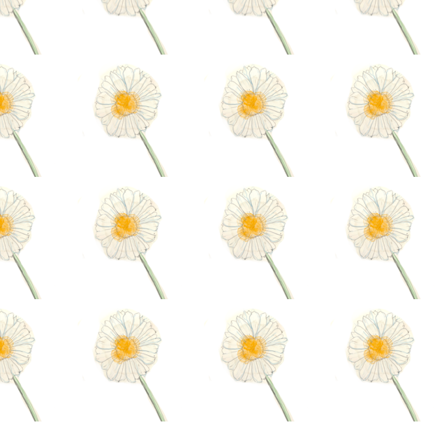 Flyaway Daisy pattern collection